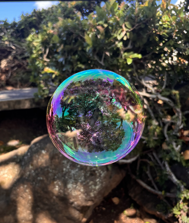 Photo of a bubble, taken by former student, 2024. 